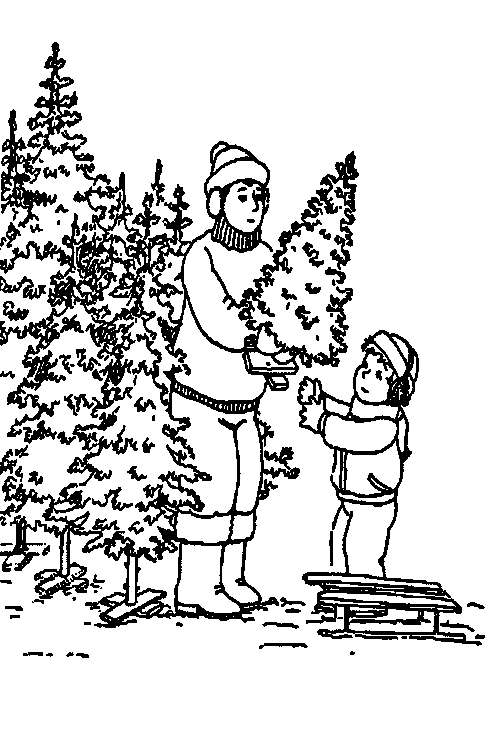 kerst-boomuitzoeken